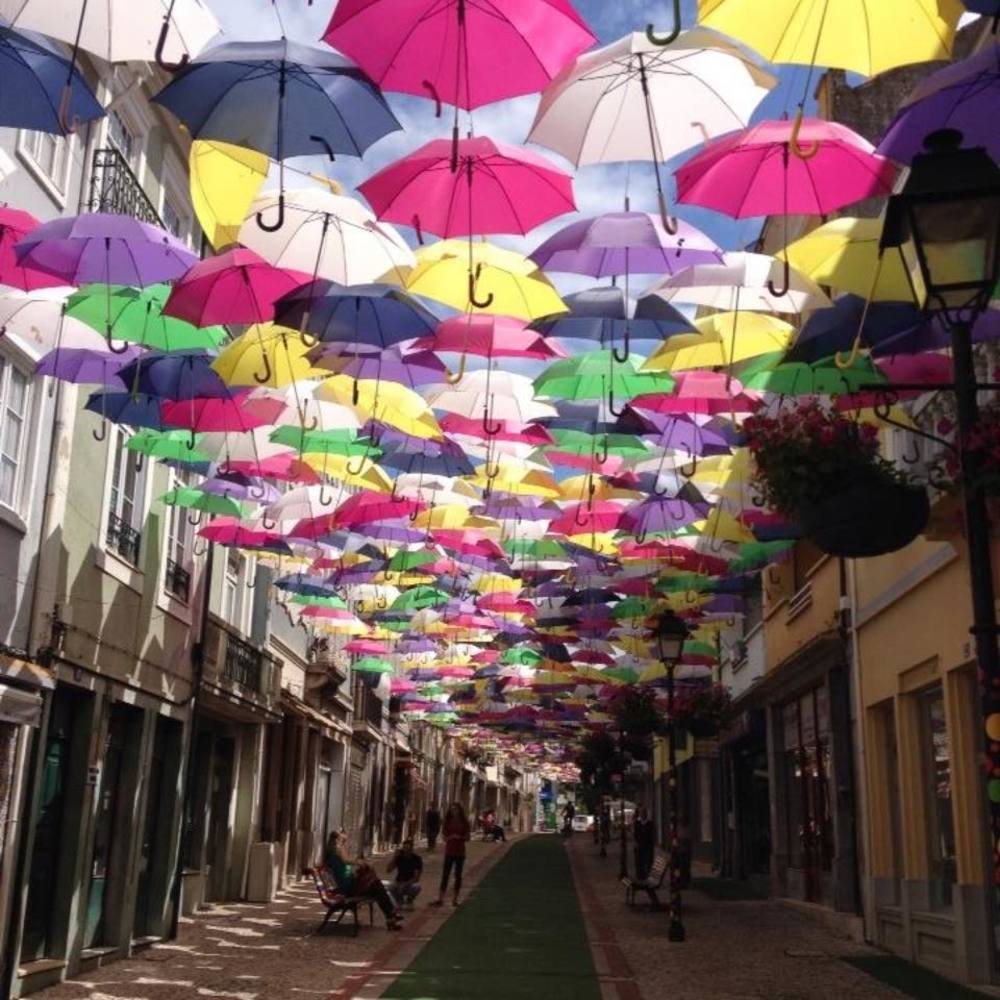 Meet your Posher, Dianna